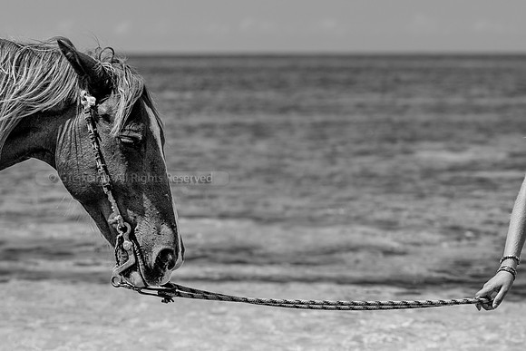 Beach walk